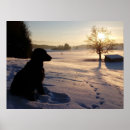 Suche nach hund poster Silhouette