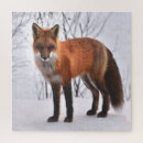 Suche nach fox puzzle Wild