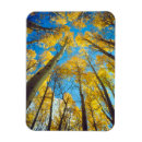 Suche nach ast magnete Herbst