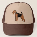 Suche nach waliser kappen Hund
