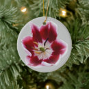 Suche nach transparent ornamente Rot