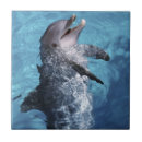 Suche nach hawaii reise fliesen Usa