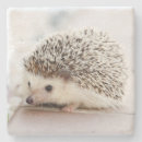 Suche nach igel untersetzer Natur