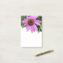 Suche nach pflanze post it Rosa
