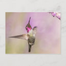 Suche nach flight postkarten Natur