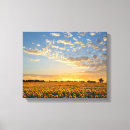 Suche nach sonnenblumen leinwandbilder Landschaft