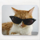 Suche nach orange und weiße katze mousepads Niedlich
