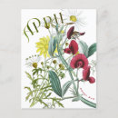 Suche nach april postkarten Blume