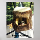 Suche nach gleiten poster Tiere