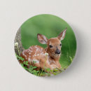 Suche nach fauna buttons Hirsche