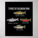 Suche nach fishing poster Ozean