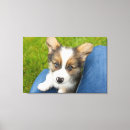Suche nach corgi leinwandbilder Königin elizabeth's