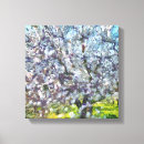 Suche nach sakura leinwandbilder Quelle