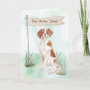 Suche nach haustierliebhaber karten Haustiere