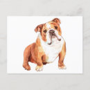 Suche nach wild horizontale postkarten Hund