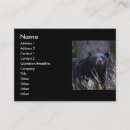 Suche nach schwarzer bär visitenkarten Tier