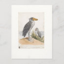 Suche nach stork postkarten Vogelbeobachter