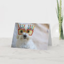 Suche nach hund mit brille karten Hunde