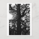 Suche nach retten sie baum postkarten Natur