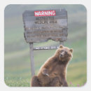 Suche nach grizzlybären aufkleber Tier
