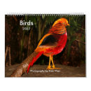 Suche nach vogel kalender Papagei