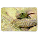 Suche nach reptil magnete Foto