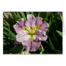 Suche nach schwertlilie postkarten Iris