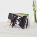 Suche nach hundezuchtverband karten Welpe