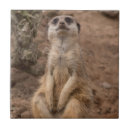 Suche nach afrikanische tiere fliesen Niedlich