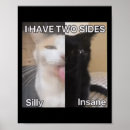 Suche nach verrückte katzen poster Albern