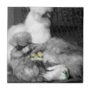 Suche nach seide untersetzer Tiere