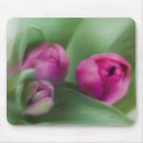 Suche nach tulpen mousepads Weiß