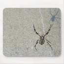 Suche nach spinne mousepads Netz