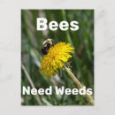 Suche nach unkraut postkarten Natur