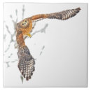 Suche nach raubvögel fliesen Raubvogel