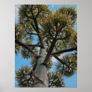 Suche nach agave poster Blau