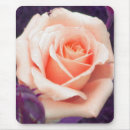 Suche nach pfirsichfarben mousepads Rose