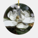 Suche nach magnolie ornamente Natur