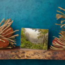 Suche nach wälder fotoplatten Misty