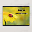 Suche nach fehler postkarten Natur