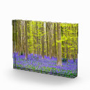 Suche nach wald fototafeln Danita abgrenzung