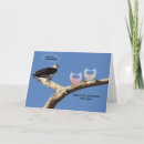 Suche nach eitelkeit postkarten Vögel