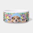 Suche nach englisch hundezubehör Englischer bulldog