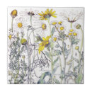 Suche nach chrysantheme untersetzer Botanisch