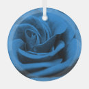 Suche nach blaue rose ornamente Natur