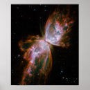 Suche nach coole schmetterlinge poster Hübsch