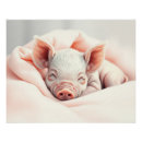Suche nach schlafender poster Mother to be