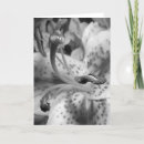 Suche nach sinnlich karten Blume