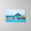 Suche nach delfin leinwandbilder Meerestiere