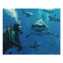 Suche nach taucher poster Wand